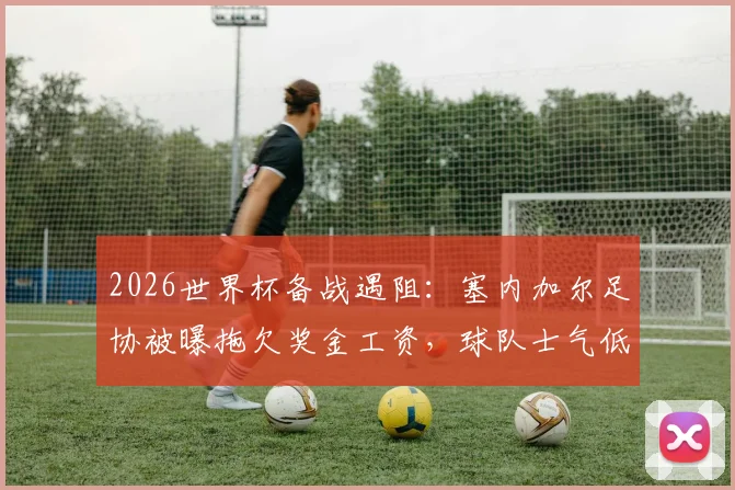 2026世界杯备战遇阻：塞内加尔足协被曝拖欠奖金工资，球队士气低迷引非洲媒体关注