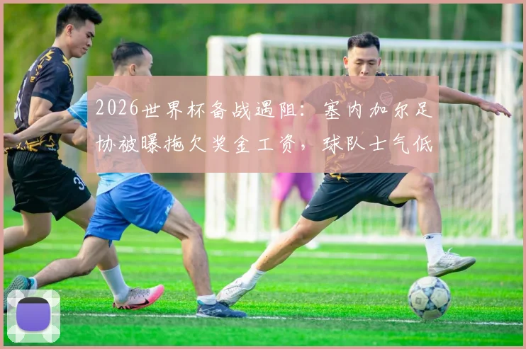 2026世界杯备战遇阻:塞内加尔足协被曝拖欠奖金工资,球队士气低迷引非洲媒体关注